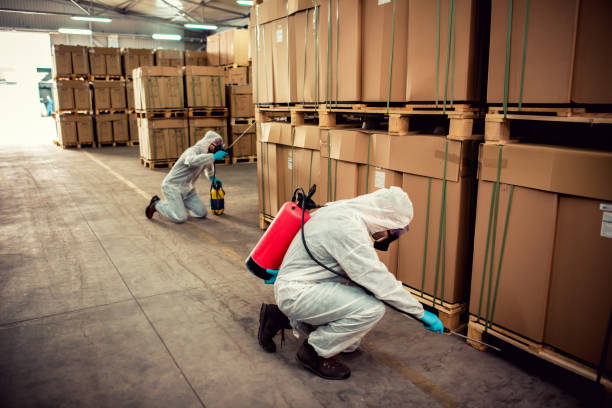 Best Pest Control for Homes  in Walnutport, PA
