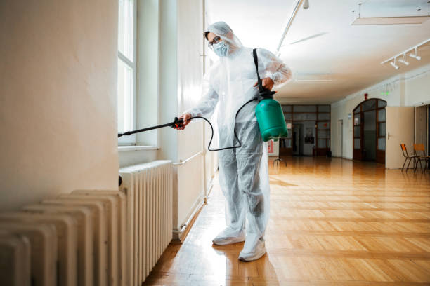 Trusted Walnutport, PA Pest Control Experts