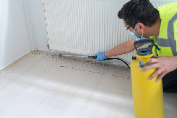 Best Bed Bug Extermination  in Walnutport, PA
